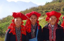 des-dzaos-sapa