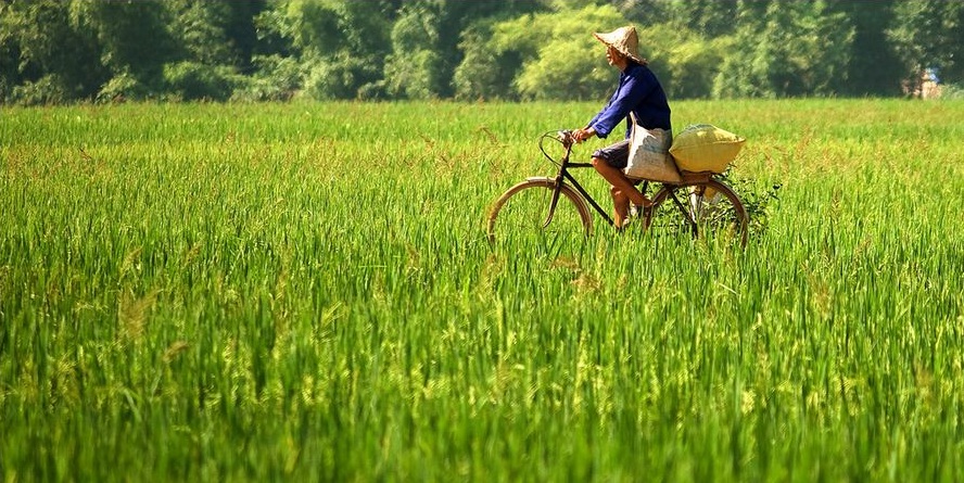 sejour-vietnam-Madame-F-BARRERA