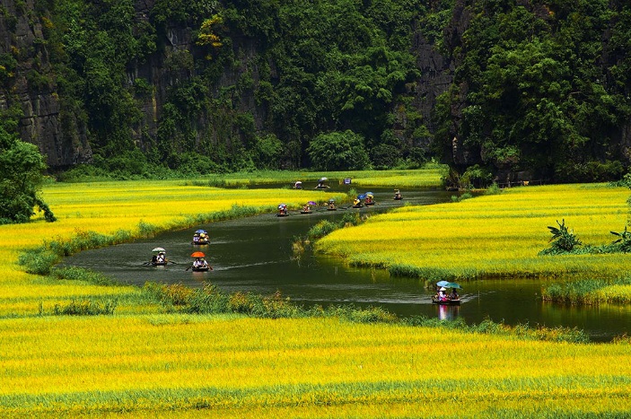 beaux-paysages-de-la-baie-d-halong-terrestre