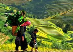 paysages-de-sapa