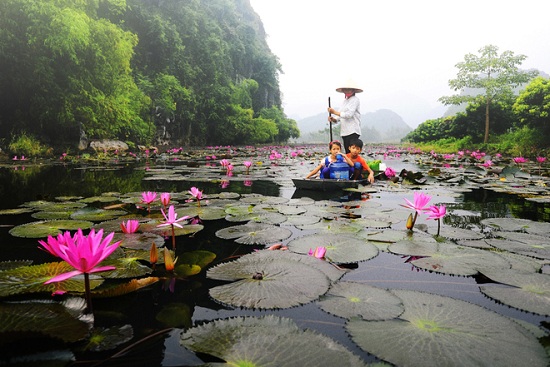 photo-pagode-des-parfums-vietnam