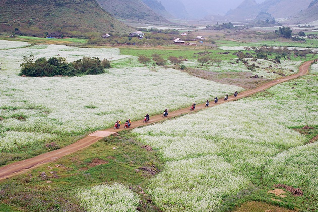 plateau-de-moc-chau-son-la