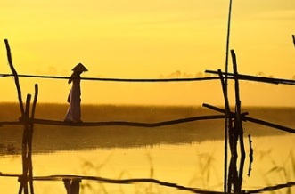 pont-de-singe-au-vietnam