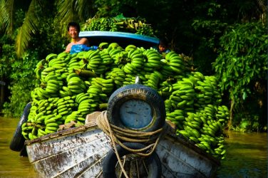 transport-de-bananes-dans-le-fleuve-du-mekong