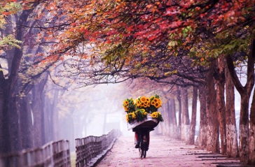 vendeuse-fleurs-hanoi