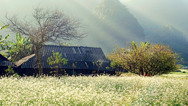 ville-de-sonla-vietnam