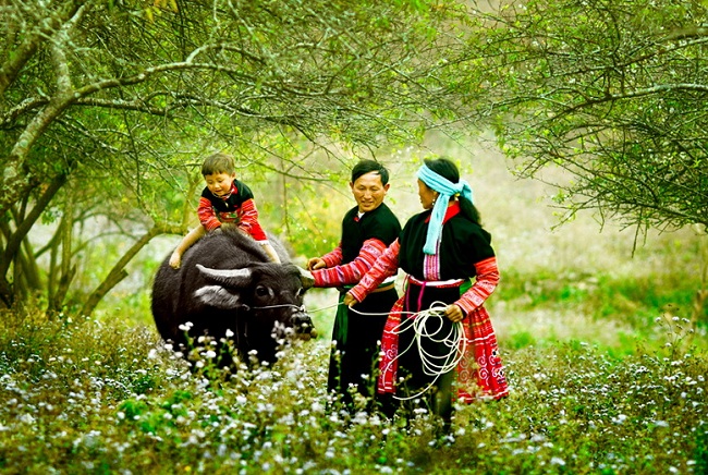 belle-photo-famille-ethnique-nord-vietnam