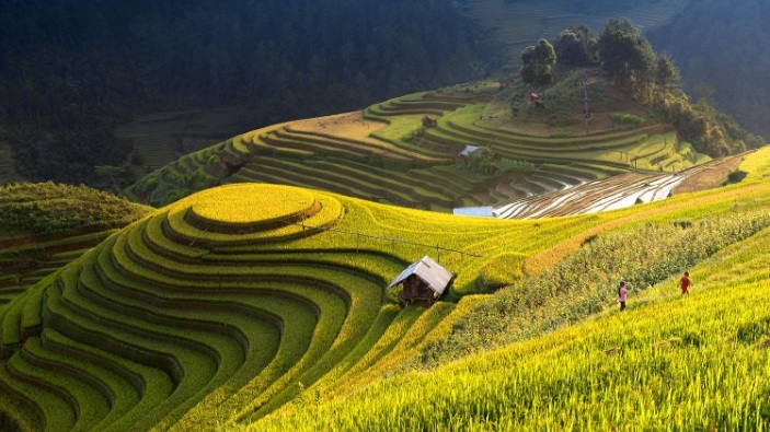 belle-riziere-de-mu-cang-chai-vietnam