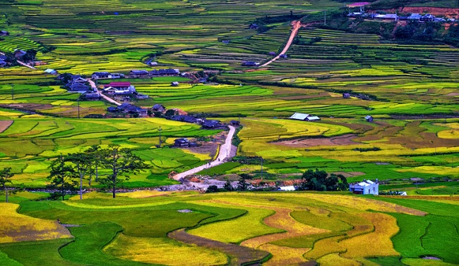 belle-riziere-du-vietnam