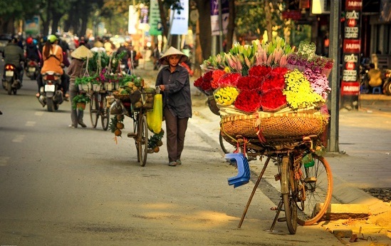 photo-hanoi-saison-des-fleurs