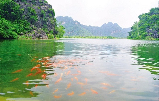 voyage-trangan-ninhbinh