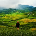 belle-photo-riziere-en-gradins-sapa