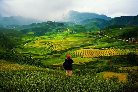 belle-photo-riziere-en-gradins-sapa