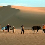 dunes-de-sables-muine-vietnam