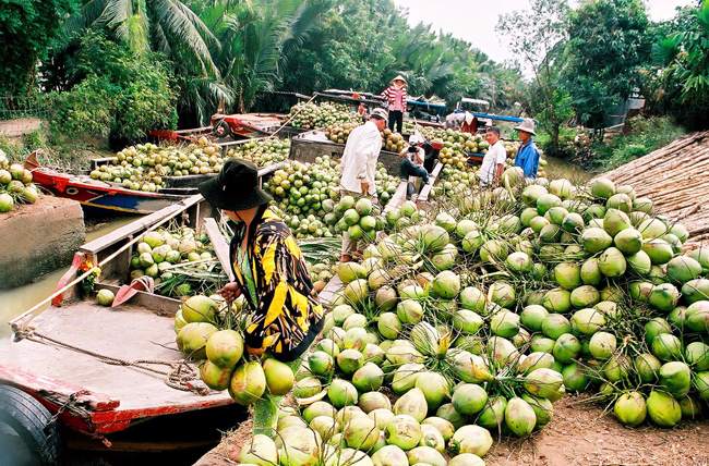 marche-flottant-ben-tre-vietnam