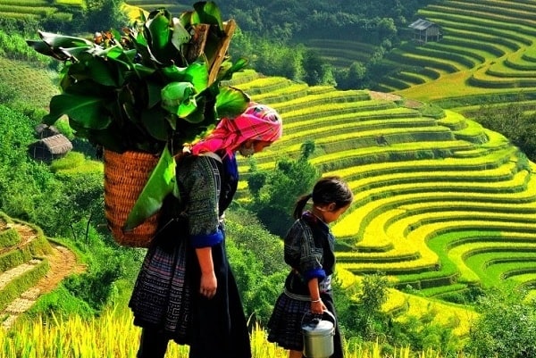 bella foto sapa vietnam