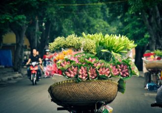 Miglior viaggio Vietnam per famiglia 15 giorni