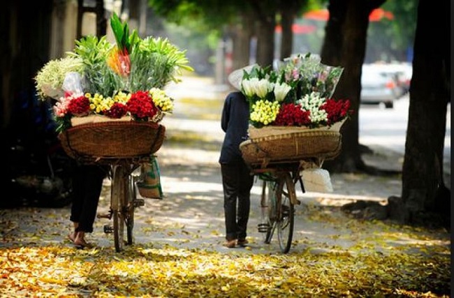 Tour degli aromi di primavera in Vietnam