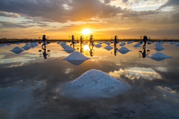 La-coltivazione-del-sale-in-Vietnam