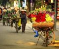 Stagione dei fiori di Hanoi