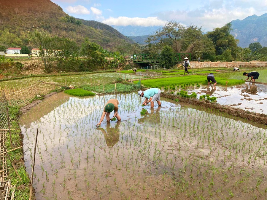 mai chau