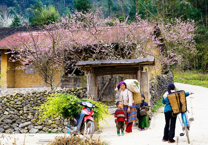 vietnam-hagiang