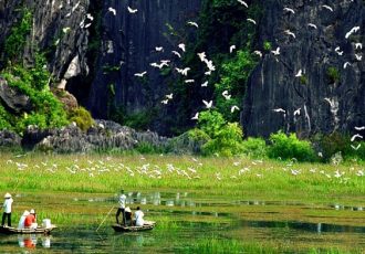 thung-nham-ninh-binh-vietnam