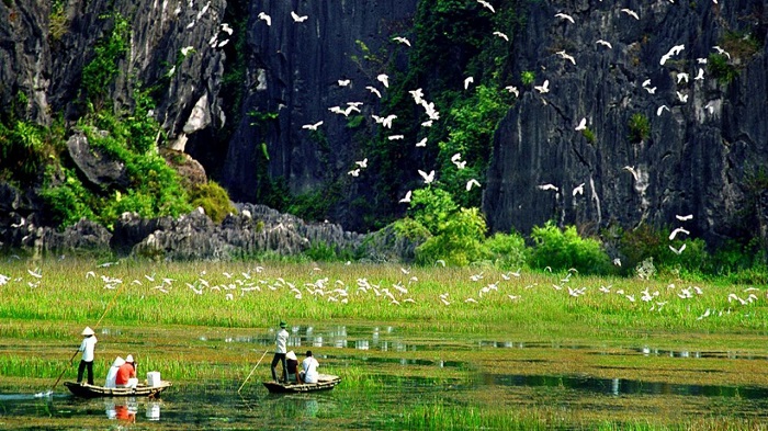 thung-nham-ninh-binh-vietnam