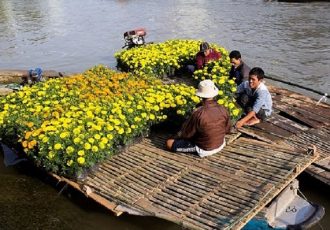 trip-delta-mekong