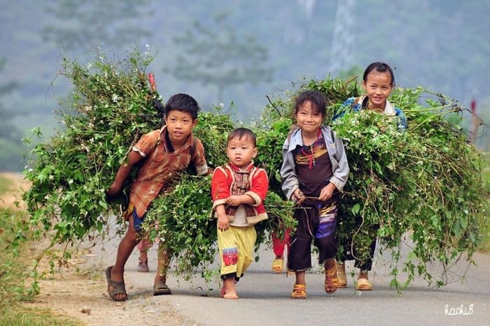 bambini-etnici-bac-ha-vietnam