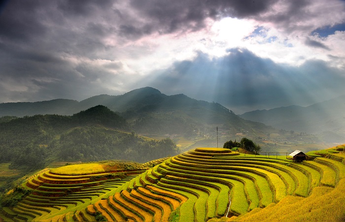 la terrazza del riso bac ha sapa vietnam