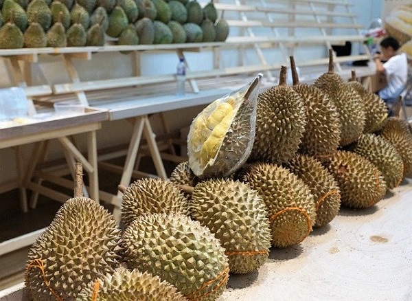 durian frutto esotico del vietnam