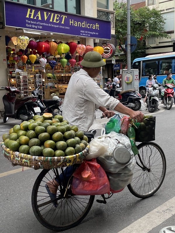 Mandelli Manuela viaggio vietnam