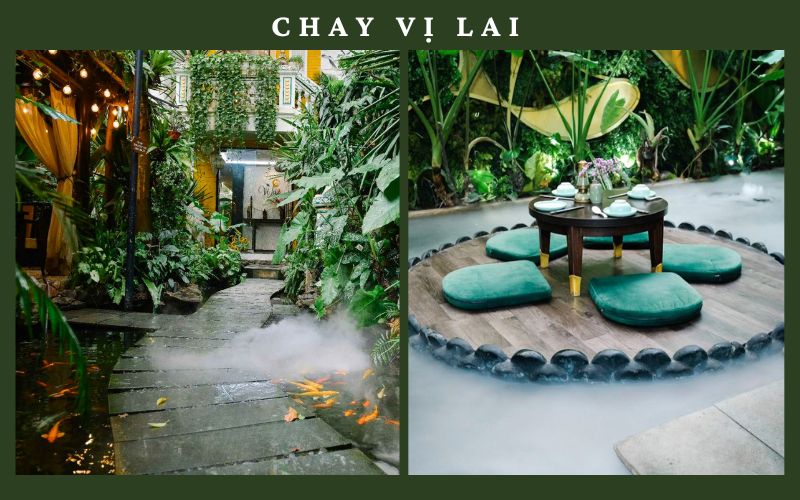 chay-vi-lai