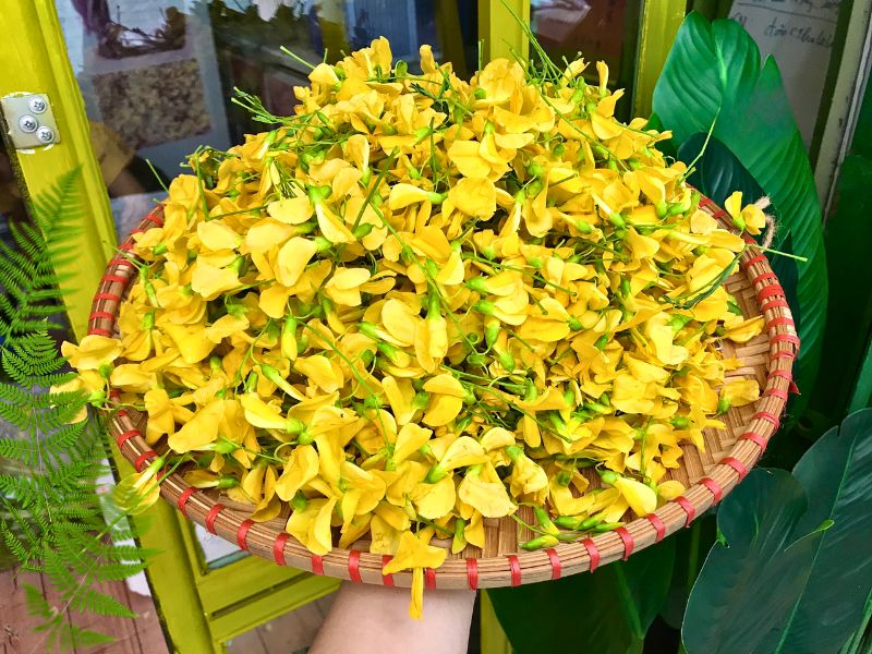 Bông điên điển (Fiori di sesbania)