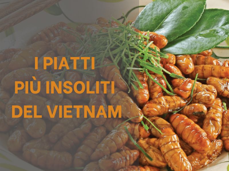 i-piatti-piu-insoliti-del-vietnam