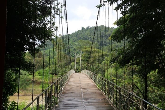 magadui-bao-loc-dalat-vietnam-viaggi