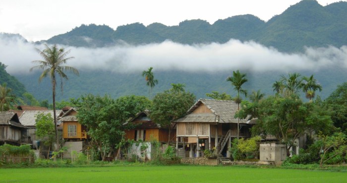 mai-hich-vietnam