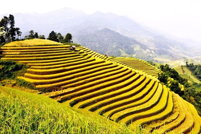 risaia-in-terracotta-a-ha-giang