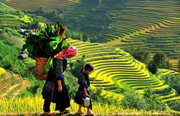 campi-terrazzati-vietnam