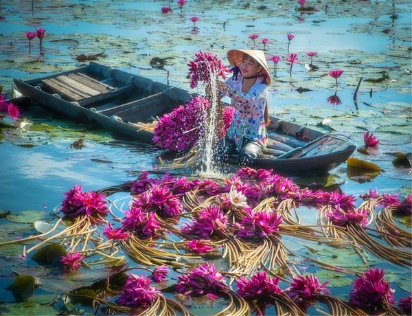 clima-vietnam-novembre