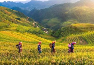 mu-cang-chai-vietnam