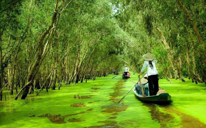 Tra-Su-Chau-Doc-viaggi