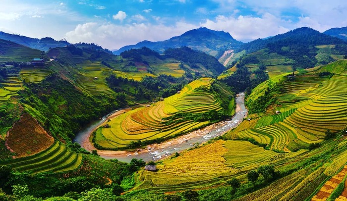 vietnam-mu-cang-chai-yen-bai