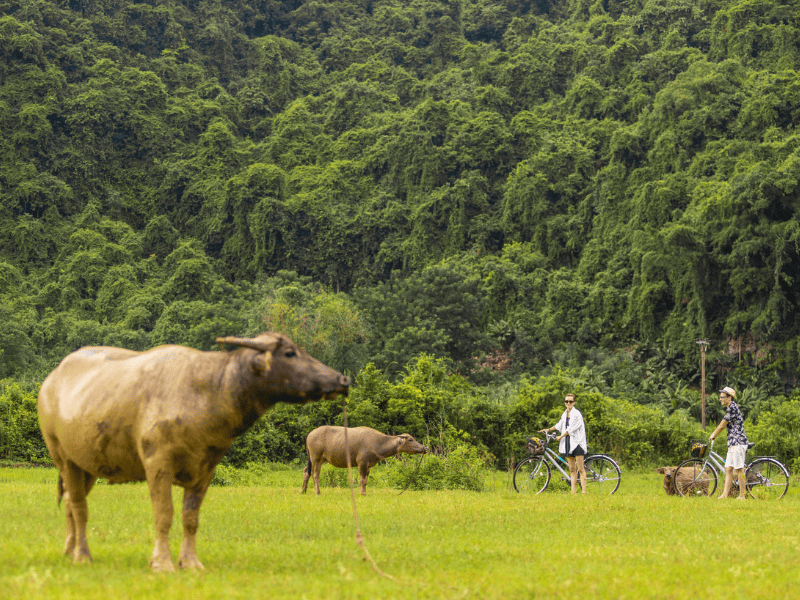 cyclo-in-viet-hai-villaggio